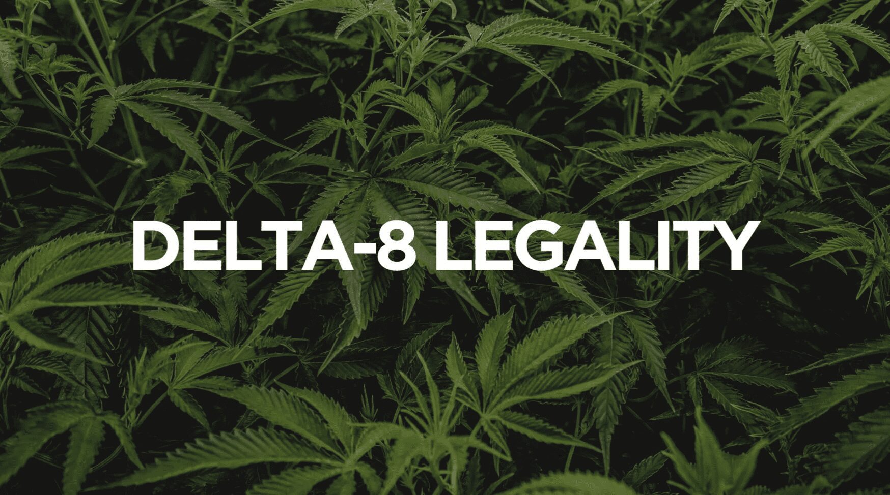 Delta 8 Legality