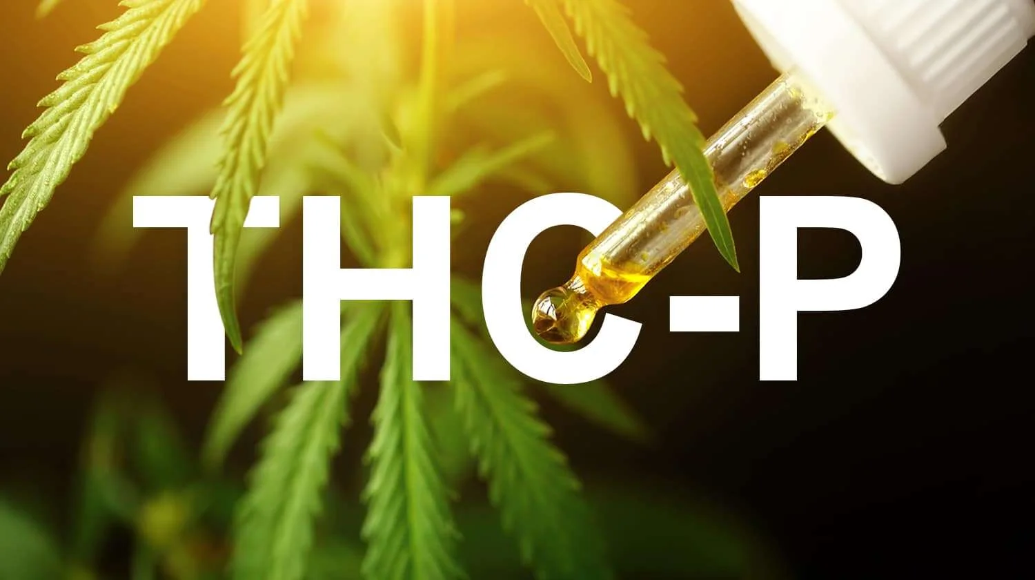 What Is THCP? Unveiling Its Potency And Effects In Cannabis