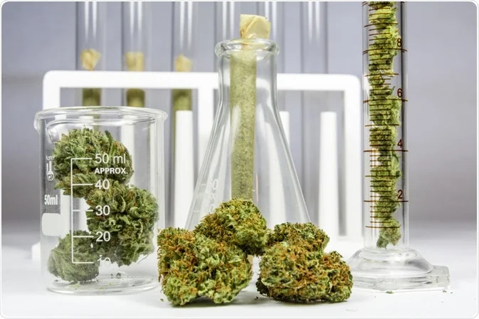 cannabis synthesis, Privacy Policy