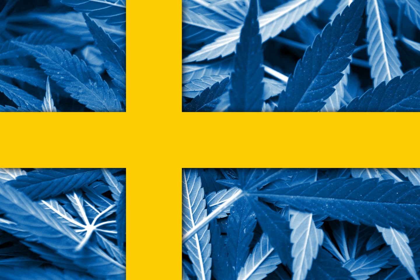 Is HHC legal in Sweden? - Levit8