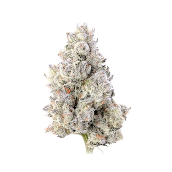 best thca flower online