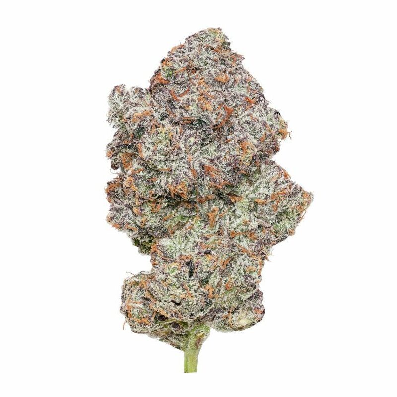 Snoop Dogg OG (Indica)  — Clearance Special