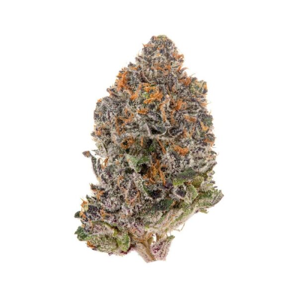 gelato king thca flower quarter pound, THC A