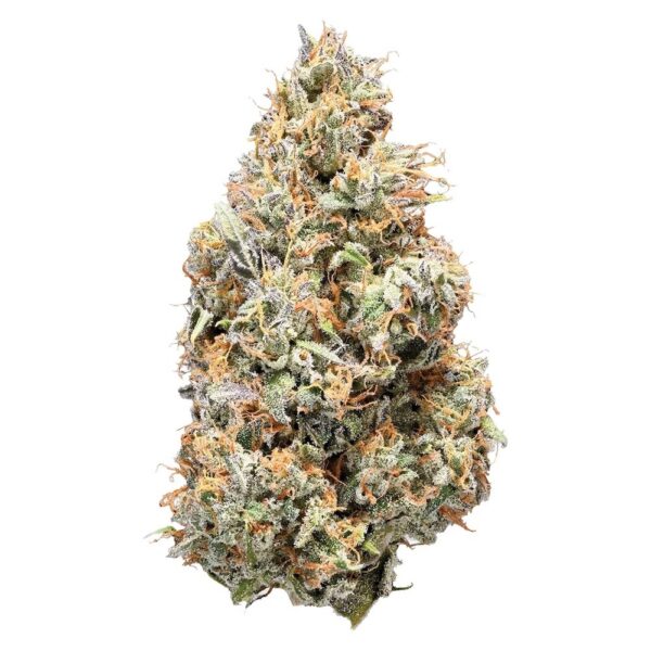 Samples of Premium Exotic Indoor THCA Flower - Image 2