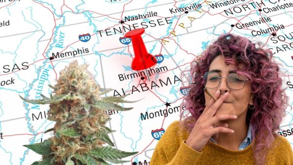 Is THCA Legal in Alabama? What You Need to Know in 2024
