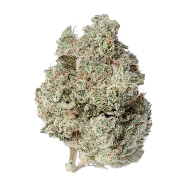 white fire og strain wifi og thca flowers strain flower