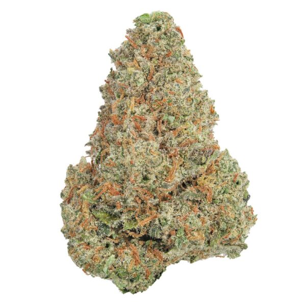 white truffle strain